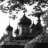ПЮХТИЦА